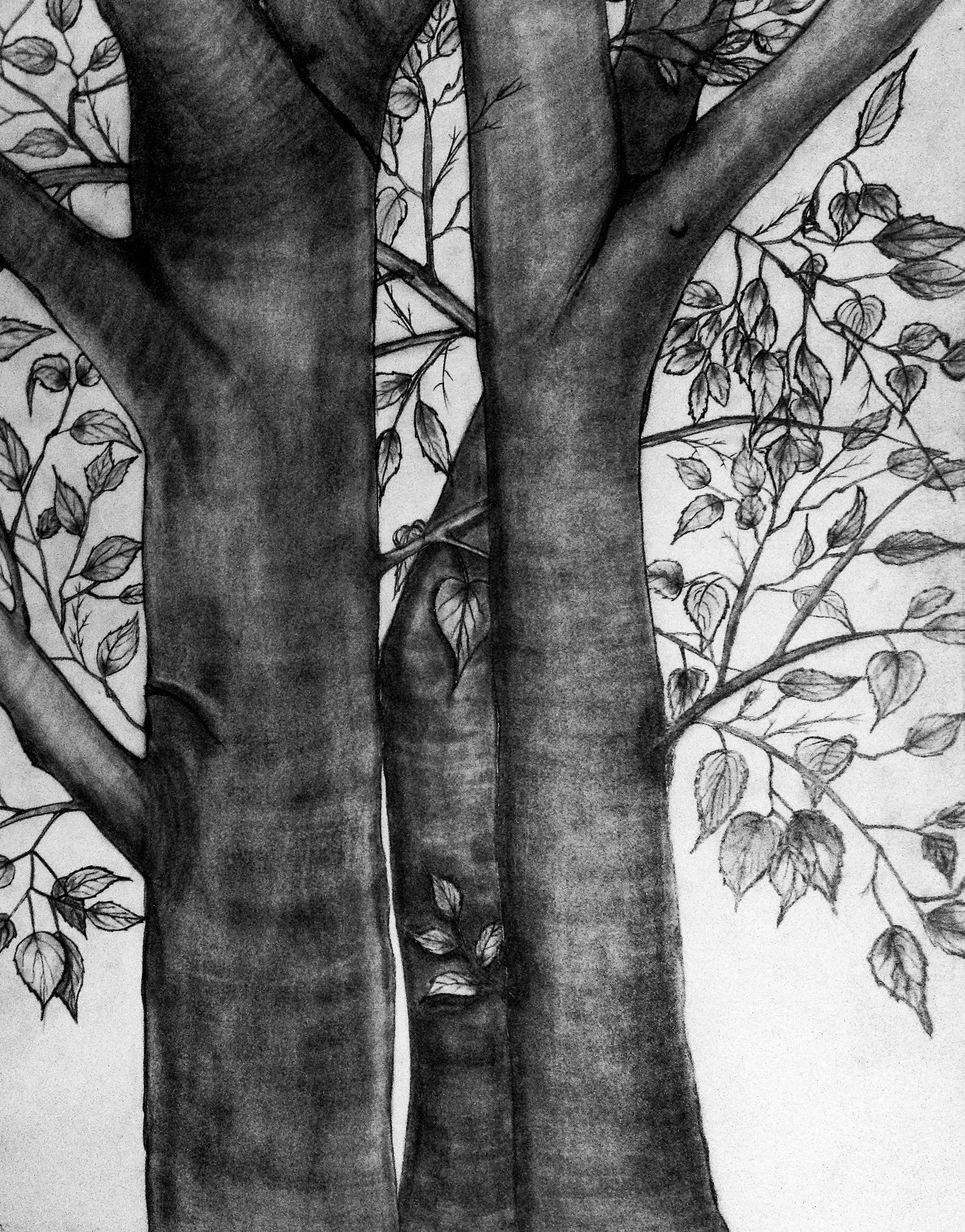 6118B5DE-A11A-45BE-99EB-8D858FDAA04A