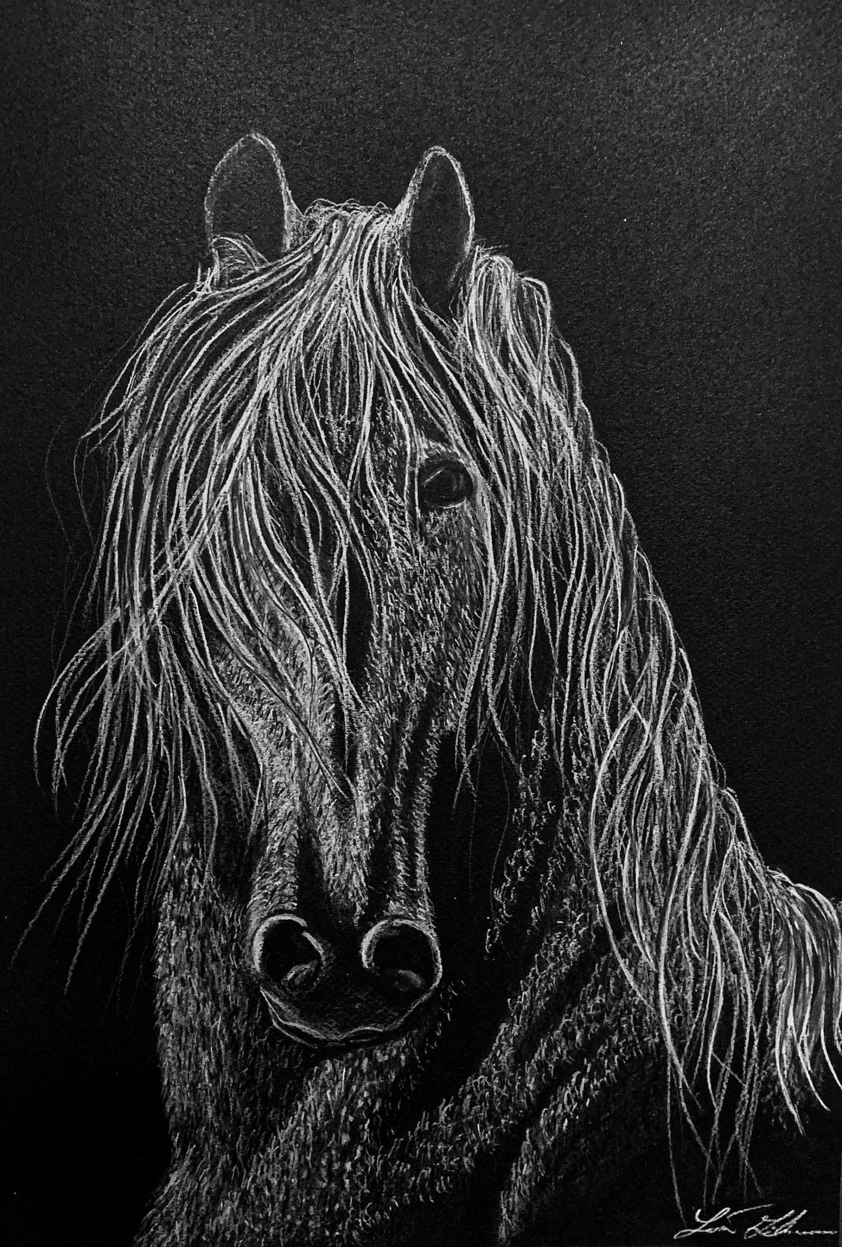 DA6769E5-6F37-4924-99DA-E459EC5C8836