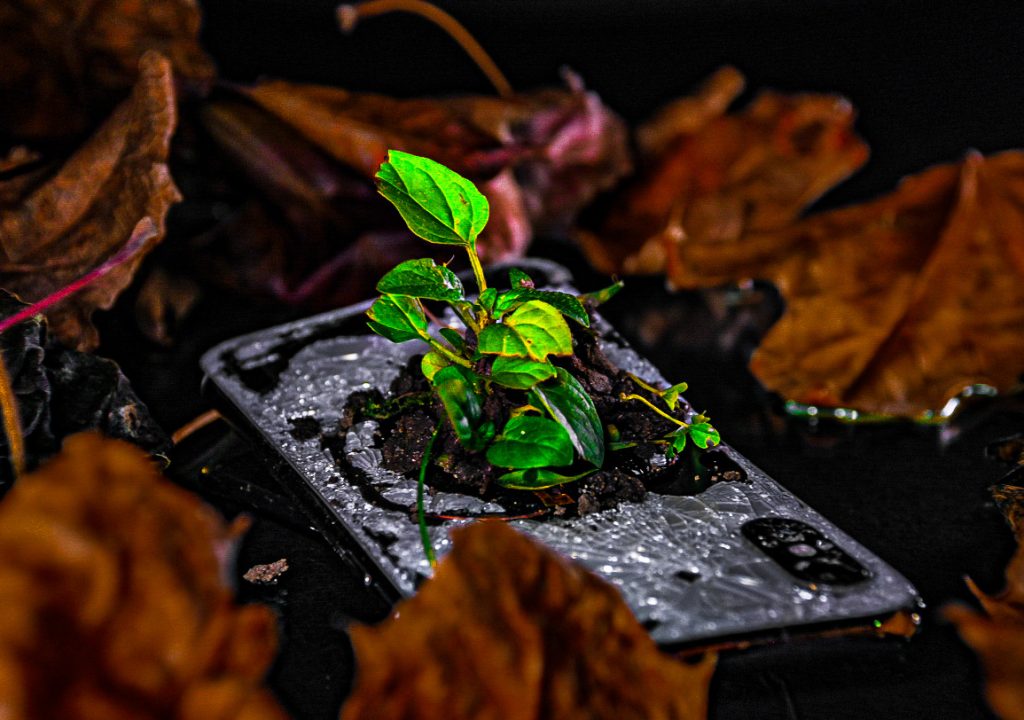 16906E13-AE51-4540-B051-A14F4959A5CE