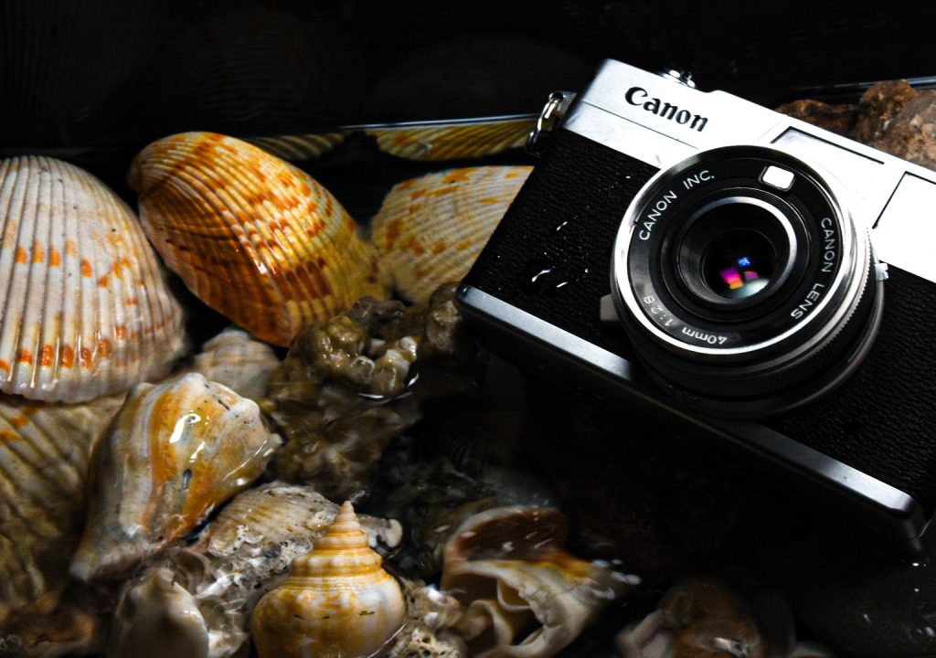 3C36D17D-2B15-492F-A5E6-E5ECF49E49AB