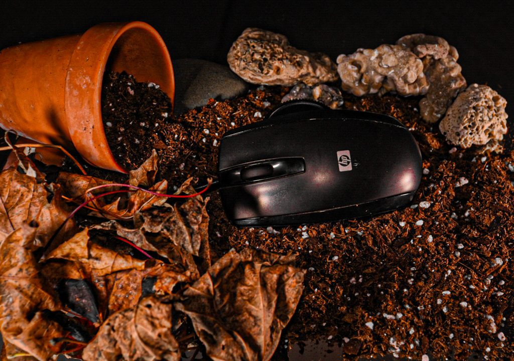 F50B822D-A4DD-4DF0-AB1F-DF2475BD26C4